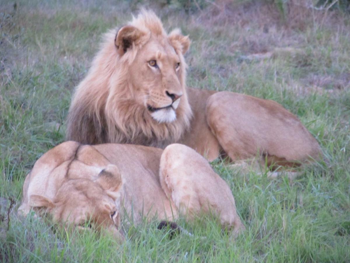 Addo Gateway Lodge Colchester Zewnętrze zdjęcie